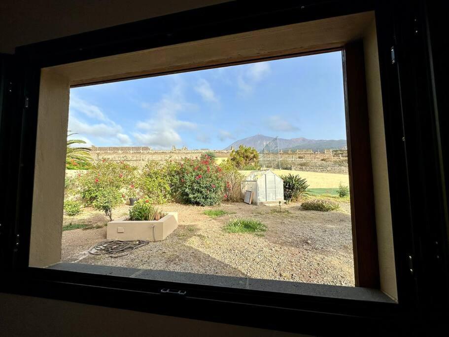 Peaceful Oasis With Magical Sea Views And A Pool Villa Santa Cruz de Tenerife Ngoại thất bức ảnh
