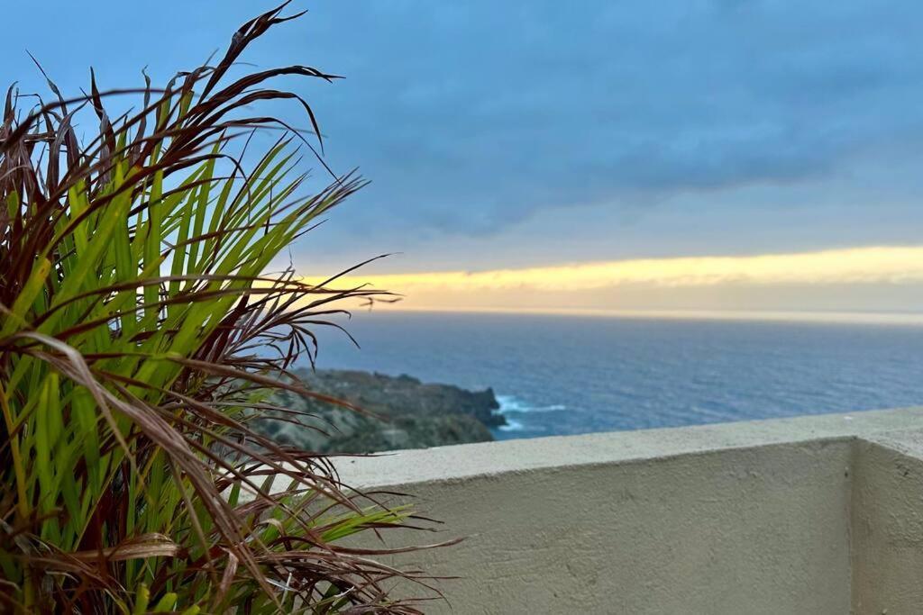 Peaceful Oasis With Magical Sea Views And A Pool Villa Santa Cruz de Tenerife Ngoại thất bức ảnh