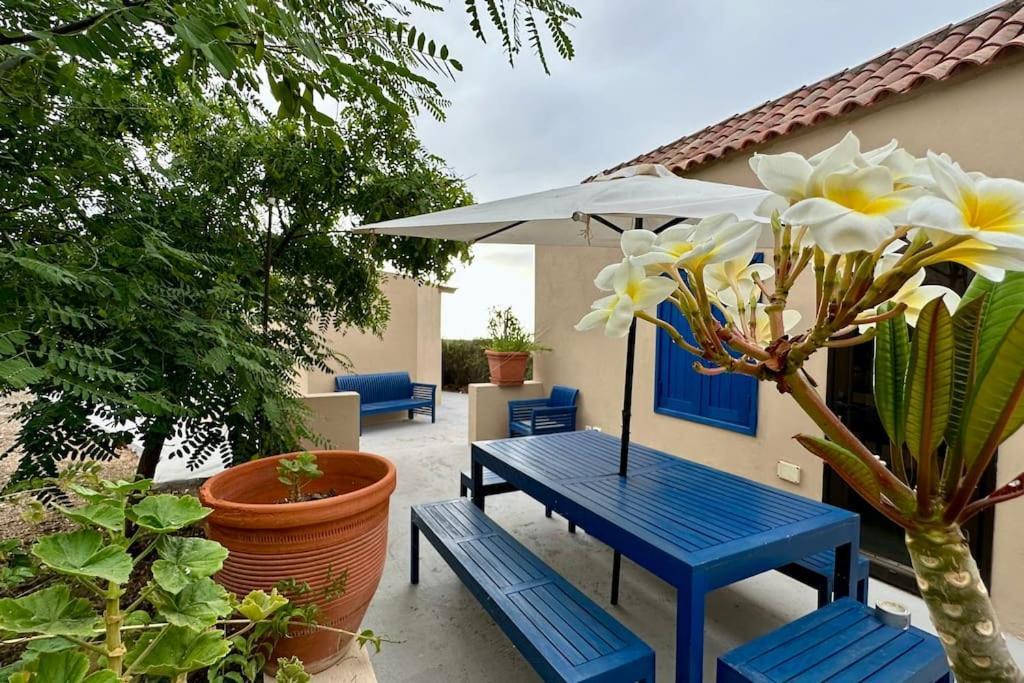 Peaceful Oasis With Magical Sea Views And A Pool Villa Santa Cruz de Tenerife Ngoại thất bức ảnh