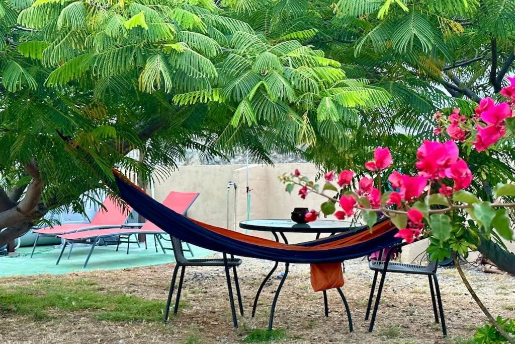 Peaceful Oasis With Magical Sea Views And A Pool Villa Santa Cruz de Tenerife Ngoại thất bức ảnh